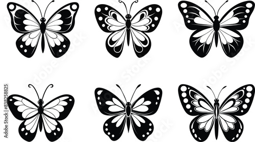 Beautiful black and white butterfly vector silhouette 