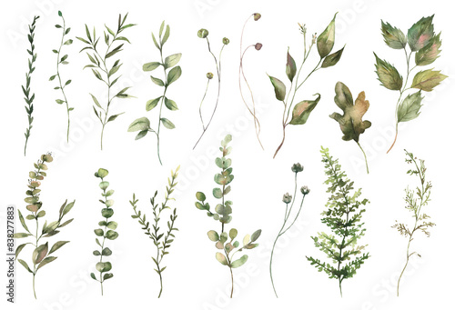 Watercolor floral illustration set - green eucalyptus leaf branches collection, for wedding invitation, greetings cards, wallpapers, background. Eucalyptus, green leaves.High quality PNG illustration.