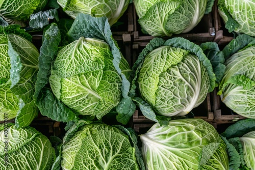 Fresh savoy cabbage heads at a market