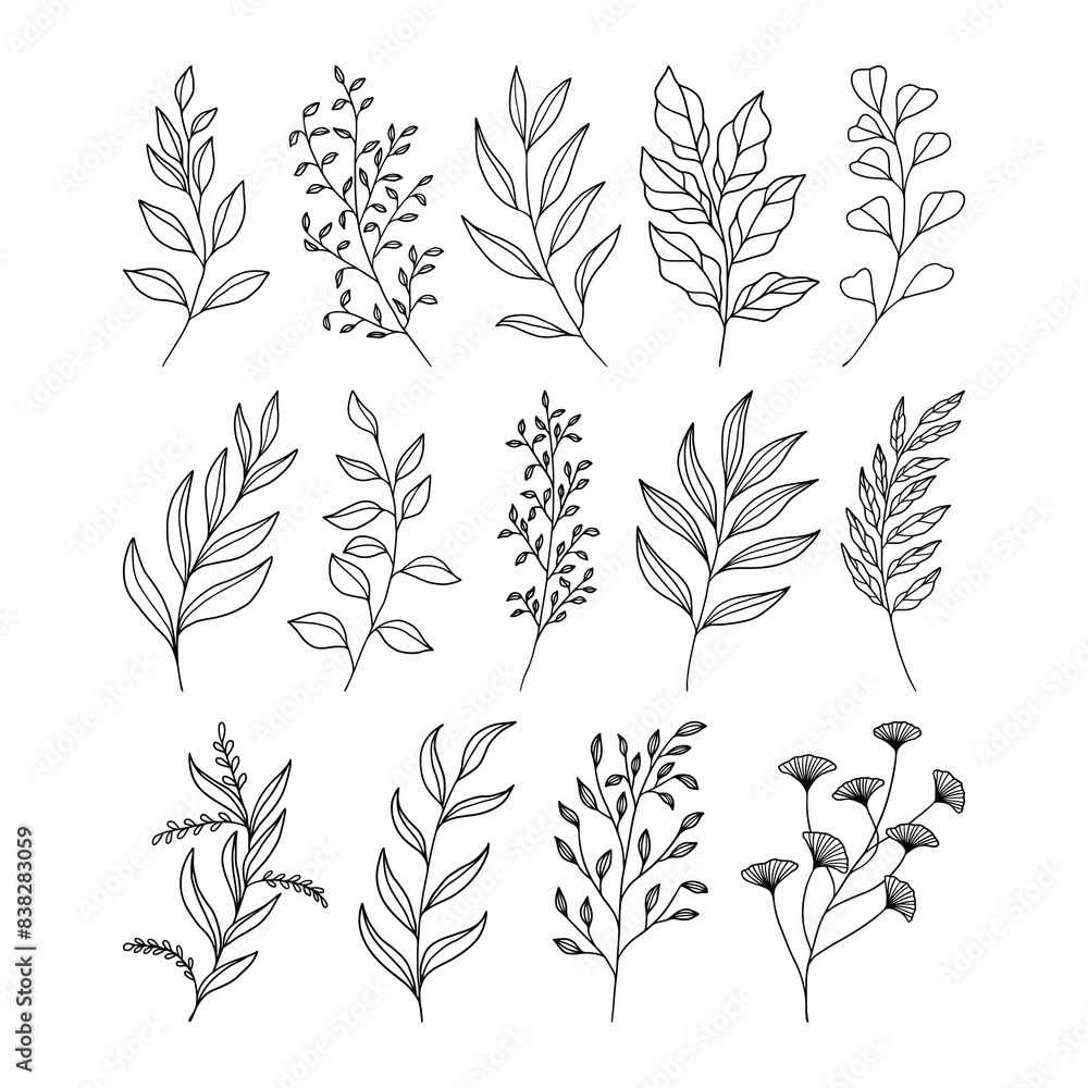 Set of leaves illustration vector Set of leaves illustration vector