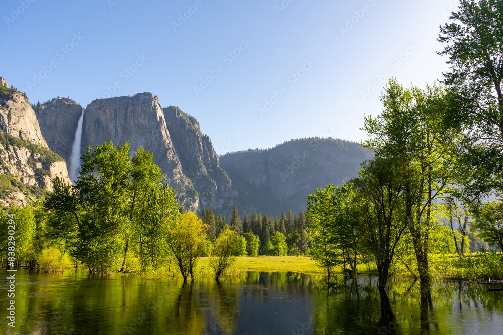 Fototapeta premium Yosemite Falls over the tree line and flooded Merced River, taken from the meadows of Yosemite National Park, during the summer.