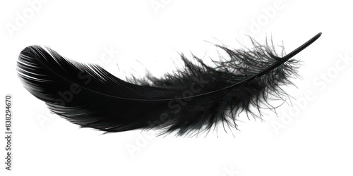 PNG Black feather white background lightweight