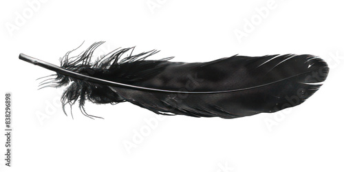 PNG Black feather white background lightweight