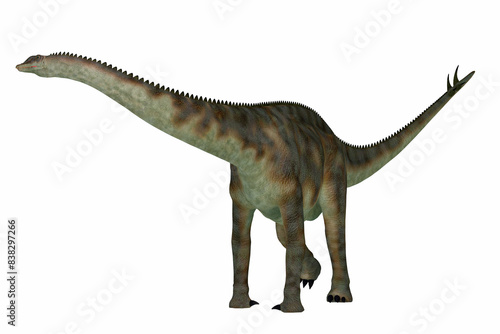 Spinophorosaurus Armored Dinosaur - Spinophorosaurus was a herbivorous sauropod dinosaur that lived in the Jurassic Period of Niger  Africa.