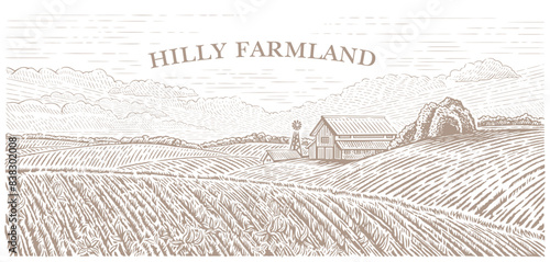 Rural hilly landscape with a farm. Dawn above agricultural fields. Illustration in engraving style.