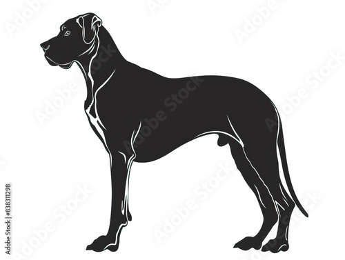 Simple  clear  artisanal stencil print style illustration of Great Dane dog isolated on white background. Stencilled graphic design  modern  minimalist  trendy  product  black and white