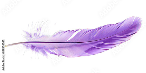 PNG Purple feather white background lightweight