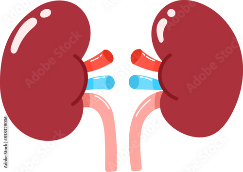 Human Kidneys Hand Drawn Vector Illustration
