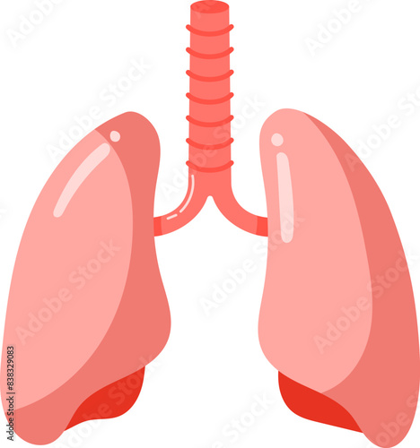 Human Lungs Hand Drawn Vector Illustration
