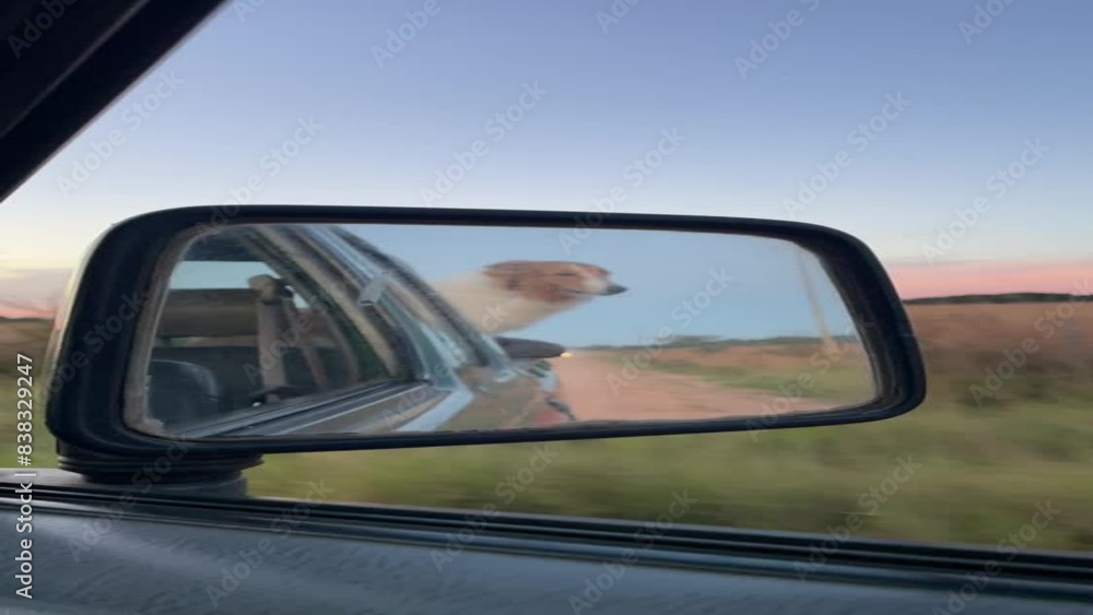 Perro en la corroceria de una camioneta mientras se maneja en una carretera al atardecer paraguayo e pilar filmado desde el celular Perro en la corroceria de una camioneta mientras se maneja en una carretera al atardecer paraguayo e pilar filmado desde el celular