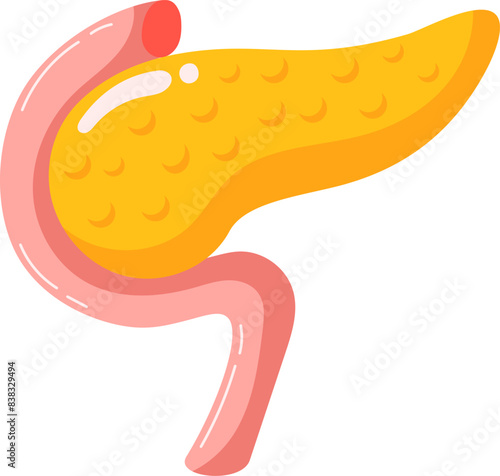Human Pancreas Hand Drawn Vector Illustration