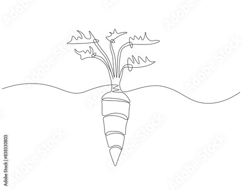 Continuous one line drawing of carrot vegetable. One line drawing illustration of growing carrot plant. Vegetable growing concept continuous line art. Editable outline.
