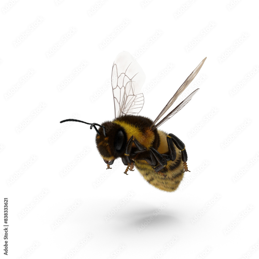 Hight resolutin 3D animals Hight resolutin 3D animals