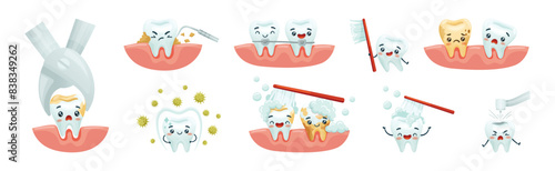 Cute Tooth Character with Smiling Face Vector Set
