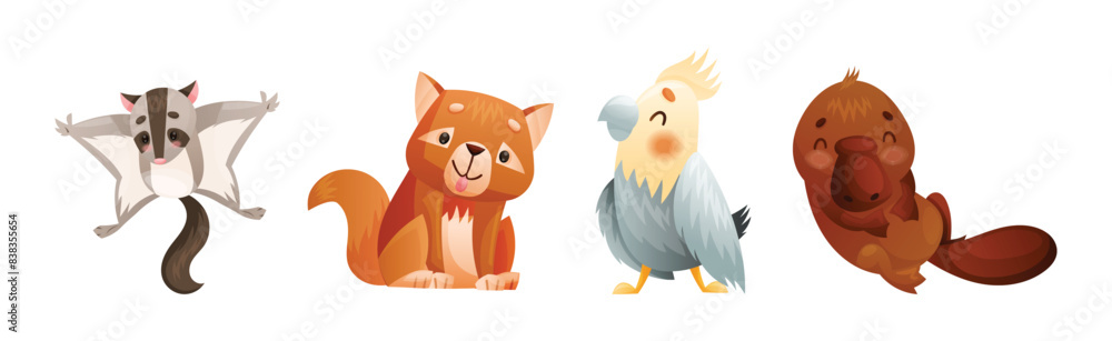 Fototapeta premium Cute Australian Animals and Endemic Fauna Vector Set