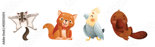 Cute Australian Animals and Endemic Fauna Vector Set