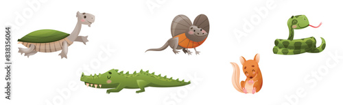 Cute Australian Animals and Endemic Fauna Vector Set