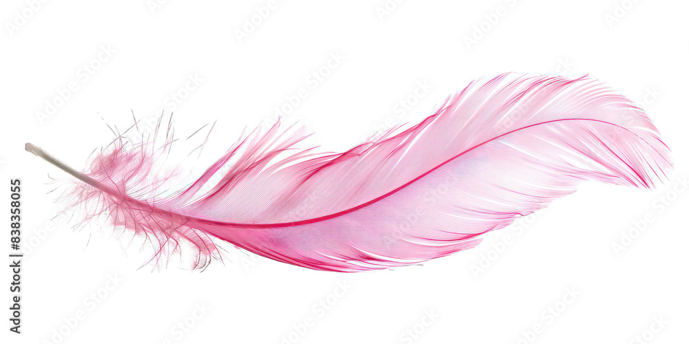 PNG Pink feather white background lightweight PNG Pink feather white background lightweight