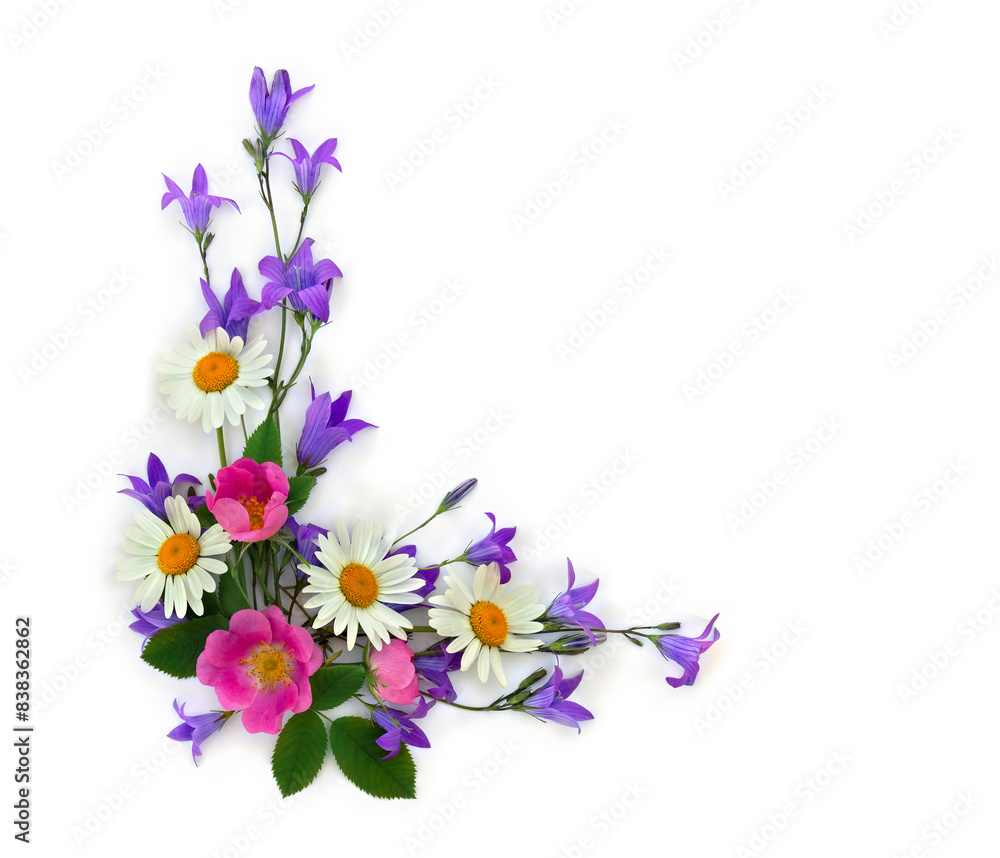Violet blue bell flowers, white chamomile and pink flowers dog-rose on a white background with space for text. Top view, flat lay Violet blue bell flowers, white chamomile and pink flowers dog-rose on a white background with space for text. Top view, flat lay