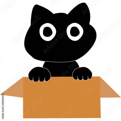 Cute black cat in cardboard box. Cat is looking out of a box.