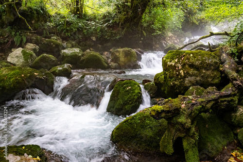 Green moss waterfall cascades with fog
