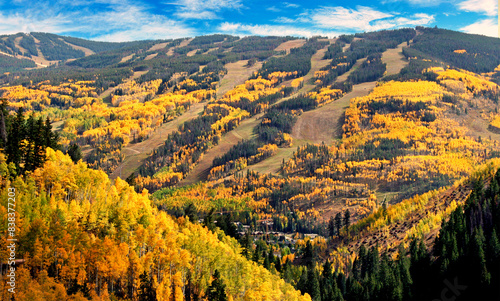 Autumn aspens in Colorado's Vail Valley