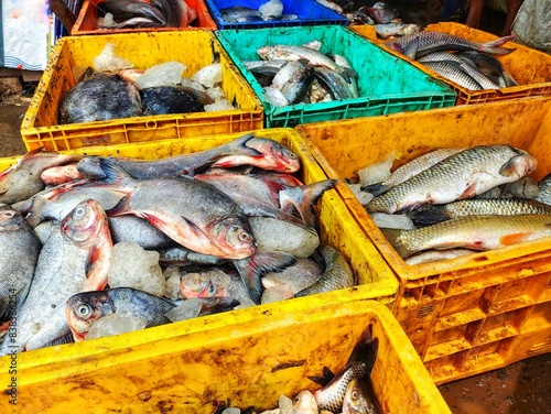 lots of fish in plastic basket krait for sale in Indian fish market