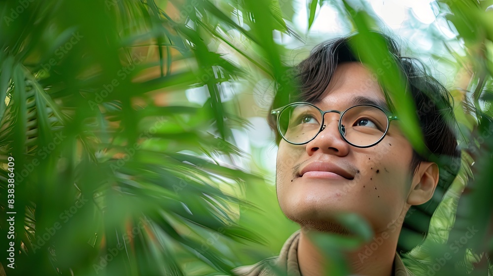 A Man Gazing Up Through Lush Foliage A Man Gazing Up Through Lush Foliage