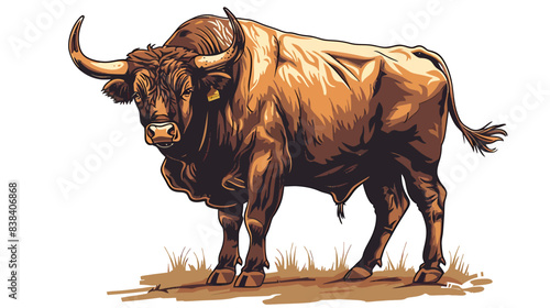 Vector of a bull on a white background
