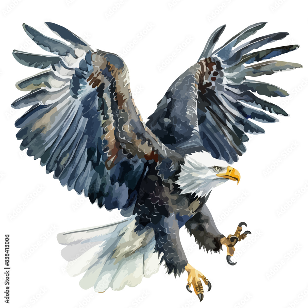 Watercolor painting of a Eagle, isolated on a white background, Eagle ...