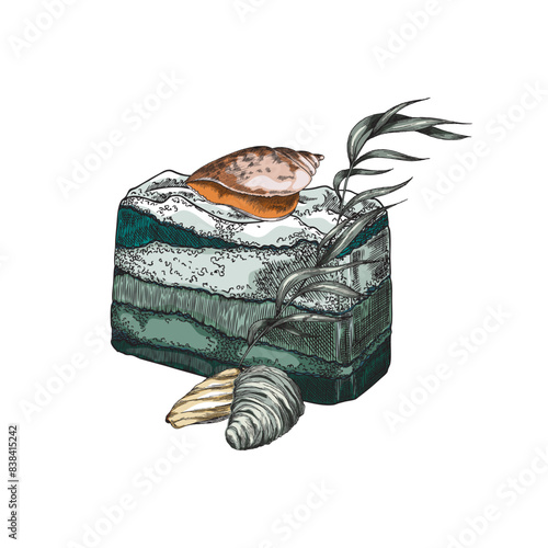 Vector sketch drawn by hand of natural handmade soap made of algae, decorated with shells