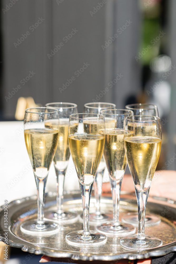 tray of glasses of champagne in the sunlight at a summer wedding tray of glasses of champagne in the sunlight at a summer wedding