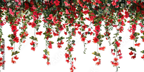 PNG Red flowers outdoor pattern nature