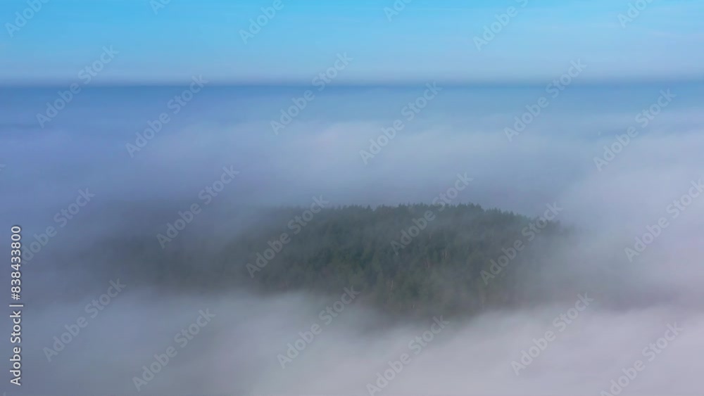 Amazing aerial forest landscape over fog. Poland Amazing aerial forest landscape over fog. Poland