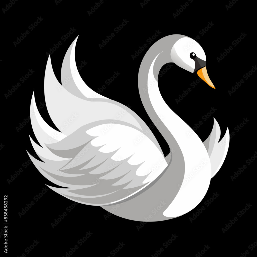 A graceful white swan and a mysterious black swan swimming A graceful white swan and a mysterious black swan swimming