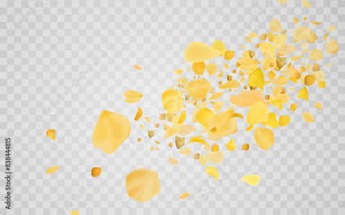 Yellow falling rose or sunflowers petals.Transparent panoramic horizontal background.Amber flower spring template.