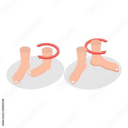 3D Isometric Flat Illustration of Muscular Motion, Abduction and Adduction Movements. Item 3