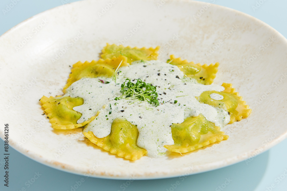 Delicious Spinach and Cheese Ravioli with Cream Sauce on White Plate Delicious Spinach and Cheese Ravioli with Cream Sauce on White Plate