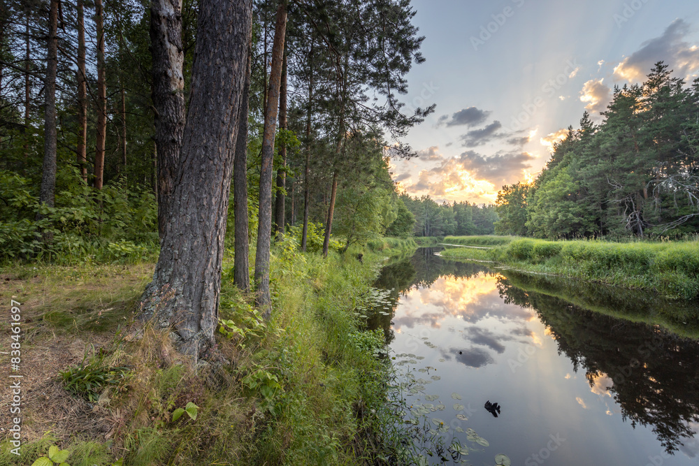 A tranquil river winds through a lush green forest, bathed in the golden light of a setting sun. The water reflects the skys vibrant hues, creating a picturesque scene. A tranquil river winds through a lush green forest, bathed in the golden light of a setting sun. The water reflects the skys vibrant hues, creating a picturesque scene.