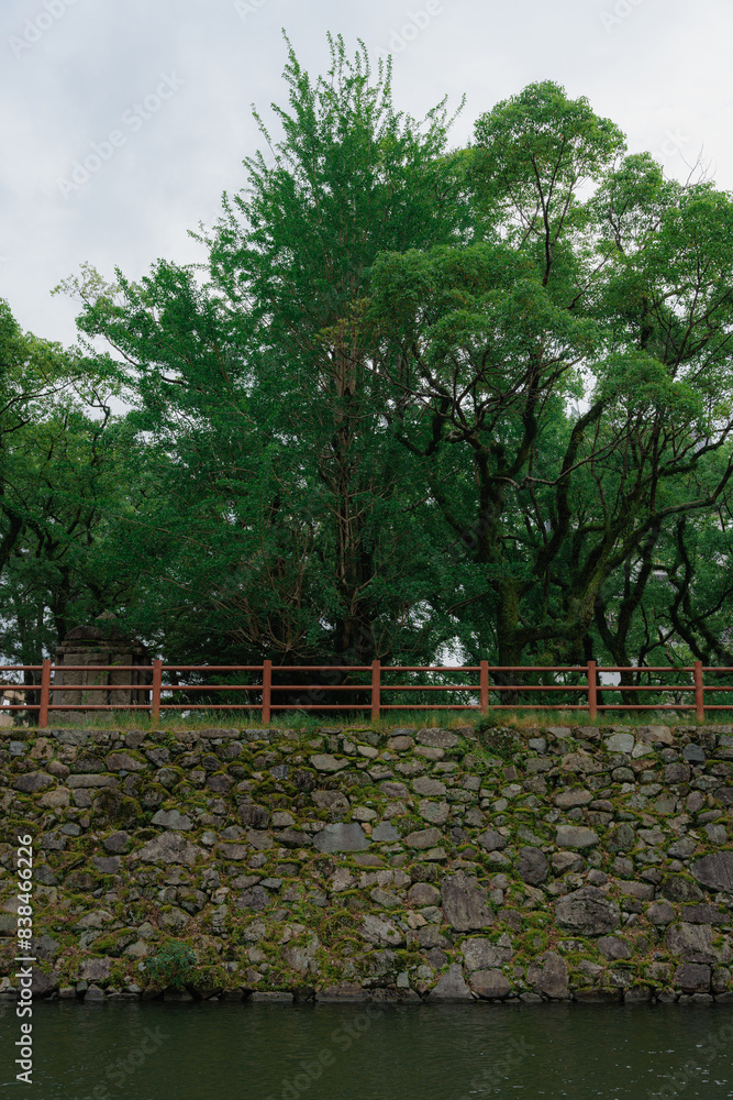 Fototapeta premium Tree-Lined Moat Surrounding Japanese Castle
