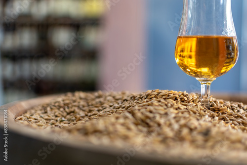 Glass of whisky close-up on barley grains on wooden cask on blurred background