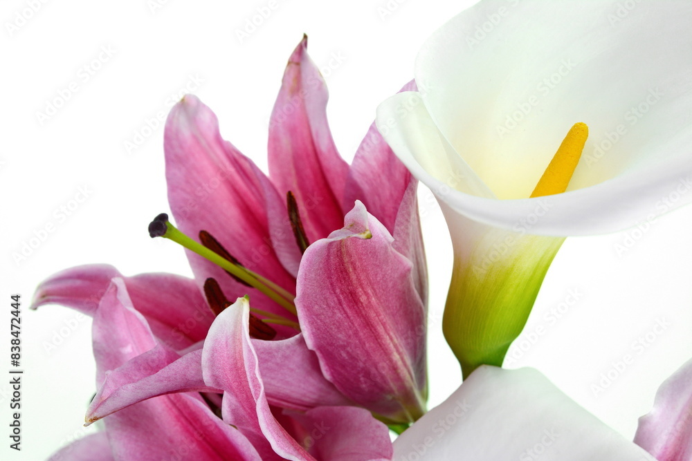 Fototapeta premium Beautiful lily and White calla lilies bouquet isolated on white background