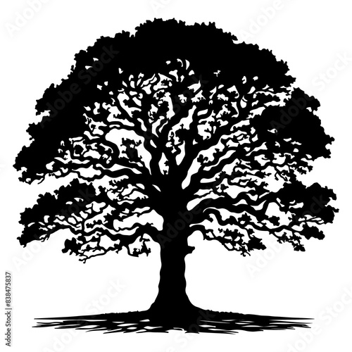 Beautiful tree silhouette vector white background