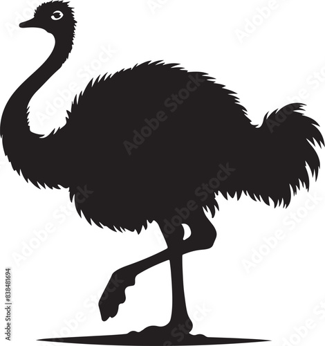 ostrich isolated on white background