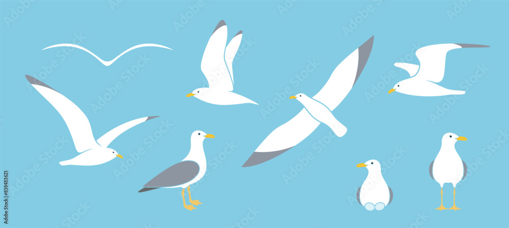 Fototapeta premium Seagull logo. Isolated seagull on white background. Bird