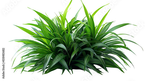 Green grass leaves. It is suitable for home decoration, offices, shopping malls and other places.