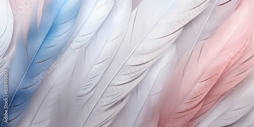 Pastel feather background abstract texture soft bird light feathers fluffy design