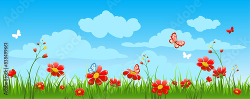 banner with sky, red flowers and grass