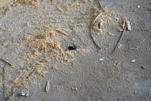 Tiny sawdust littered the floor. A mess from building materials.