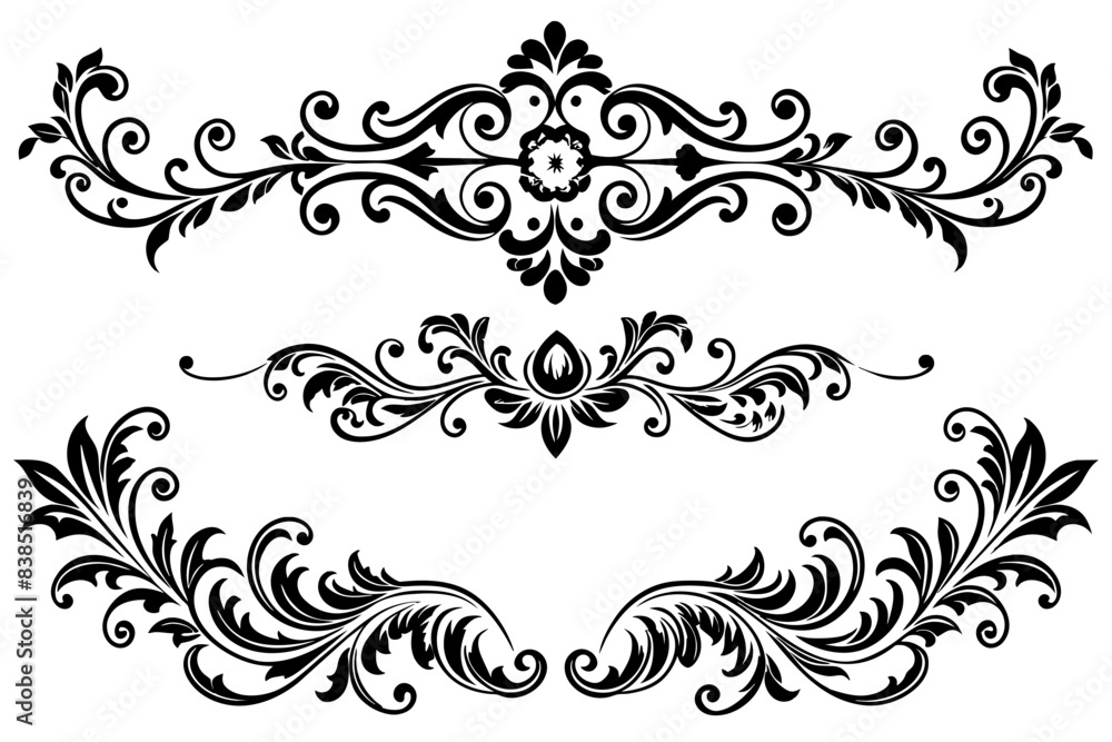 beautiful graphic with a black elegant plant ornament on an isolated background beautiful graphic with a black elegant plant ornament on an isolated background